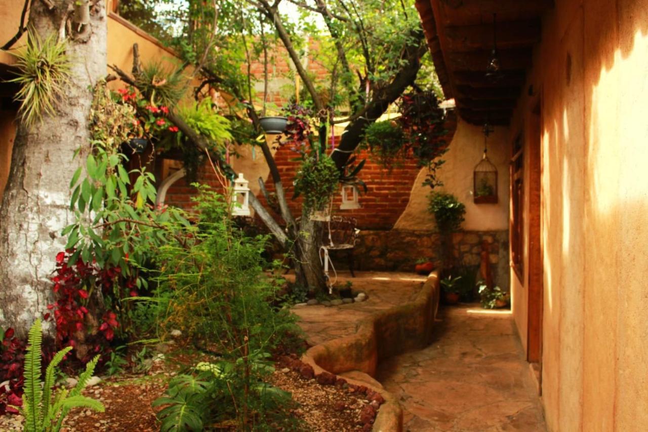 Hospedaje Boutique Paz Creativa San Cristóbal de Las Casas Exteriör bild