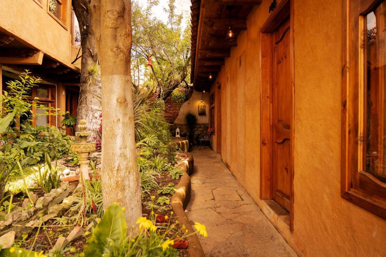 Hospedaje Boutique Paz Creativa San Cristóbal de Las Casas Exteriör bild